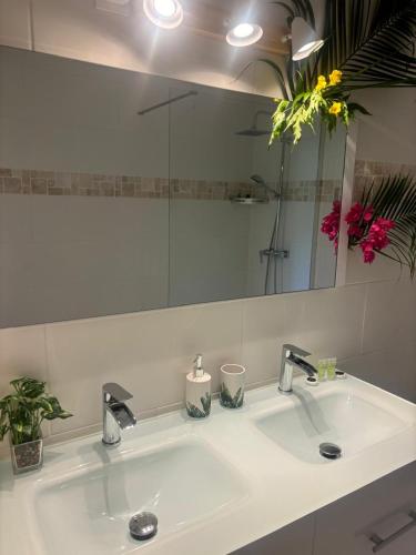 Ένα μπάνιο στο Le Petit Havre Tropical Guadeloupe, Gite, Massages & Spa