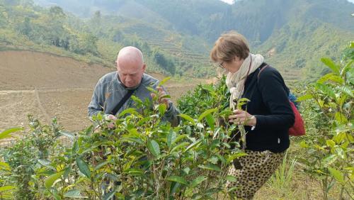 a man and a woman walking through a bush at Bình Bản Liền Homestay - Vang A Binh in Bắc Hà