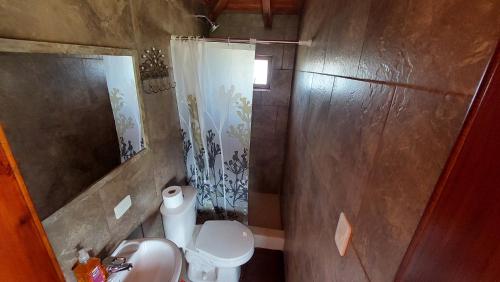 a small bathroom with a toilet and a sink at Cotopaxi Lodge in Hacienda Porvenir