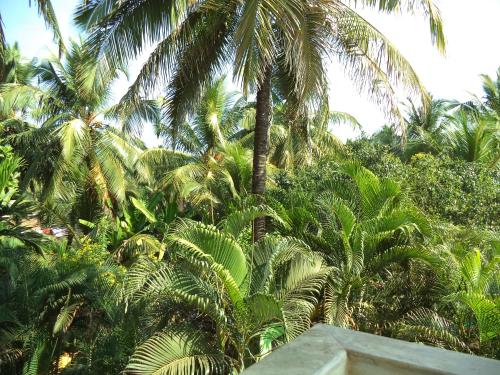 Gallery image of Hotel Failaka in Benaulim