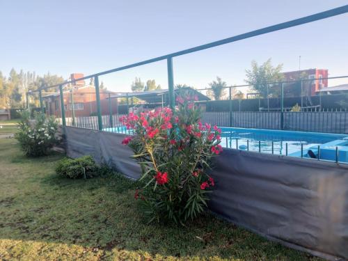 cabañas elitaの敷地内または近くにあるプール