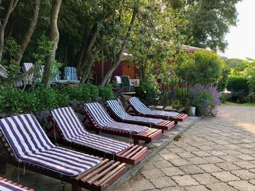 uma fila de espreguiçadeiras sentadas num pátio em Parador Preandino El Chacay em Pinto