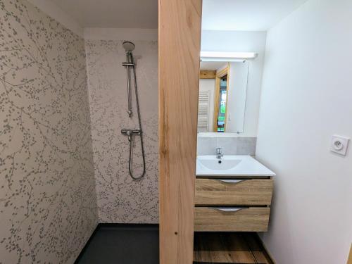 une salle de bain avec douche et lavabo dans l'établissement Gîte montagnard La Bresse 4 pers, terrasse, parking, WIFI - FR-1-589-693, à La Bresse