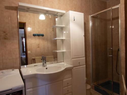 une salle de bain avec un lavabo et une douche dans l'établissement Gîte à la ferme avec piscine et wifi près de Bergerac - FR-1-616-396, à Naussannes