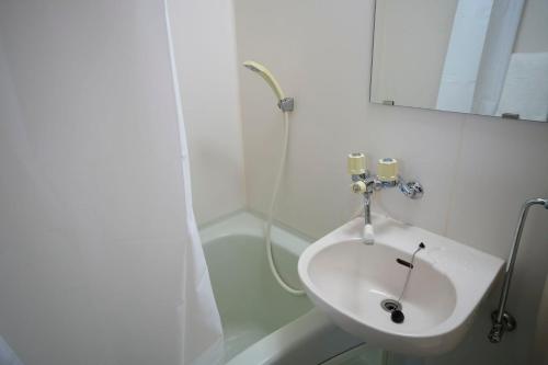 Un baño con lavabo y ducha en Dear Hostel Hakuba, en Hakuba