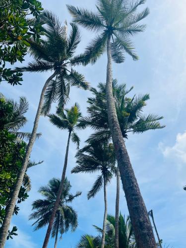 Landskap semula jadi dekat dengan hotel