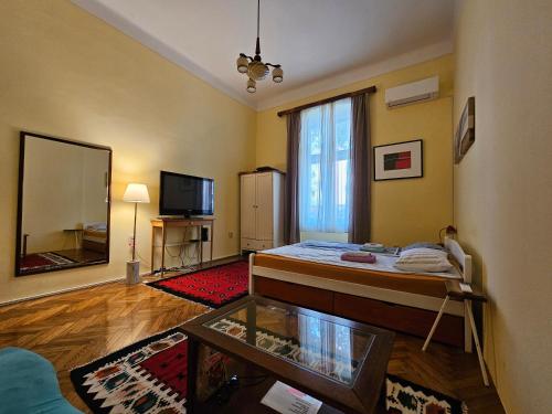 Una sala de estar con una cama y un televisor. en Cricket Park Hostel, en Belgrado