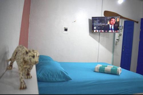 Zimmer mit einem Bett und einem TV an der Wand in der Unterkunft Little Oasis Cozumel in Cozumel