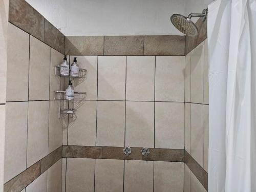 a bathroom with a shower with two soap bottles at Kruger Amani Bush Retreat in Marloth Park