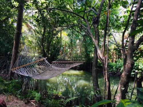a hammock in a forest next to a river at Museum Villa 09 in Beruwala