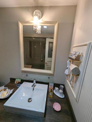 a bathroom with a sink and a mirror at HOTEL ベアーズadults only in Tenri