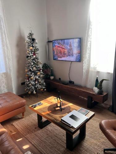Μια τηλεόραση ή/και κέντρο ψυχαγωγίας στο Apartman Saturn
