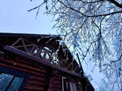 a building with snow on the branches of a tree at Hakuba Riverside Loghouse in Hakuba