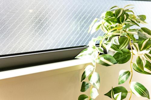 a plant sitting on a window sill next to a window at First Choice in Tokyo