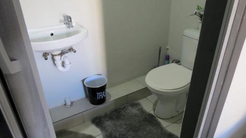 a bathroom with a white toilet and a sink at Kombi Cove Bloubergstrand in Cape Town