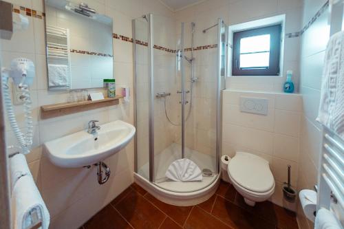 a bathroom with a shower and a toilet and a sink at Das Arni´s in Mehlmeisel