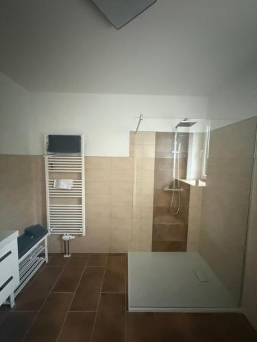 a bathroom with a shower and a sink at Ferienwohnung Parkentin 3 in Bartenshagen-Parkentin