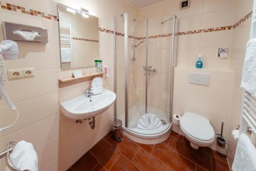 a bathroom with a shower and a toilet and a sink at Das Arni´s in Mehlmeisel