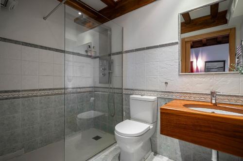 a bathroom with a toilet and a sink and a shower at Mr de Alborada del eo in Villameitide
