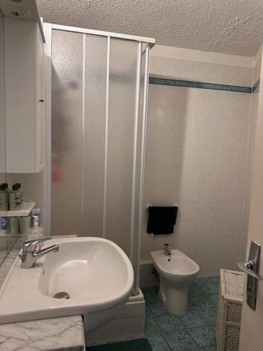 une salle de bain avec un lavabo, une douche et des toilettes dans l'établissement Grazioso appartamento vicino alle piste, à Montgenèvre