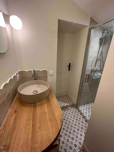 une salle de bain avec un lavabo et une douche dans l'établissement Charmante maison de ville à 10' du centre de Lyon, à Sainte-Foy-lès-Lyon