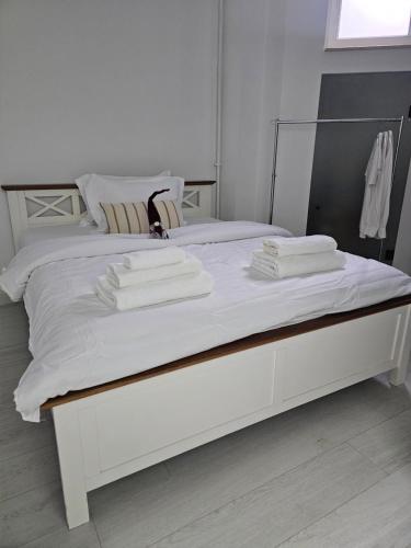 Ένα ή περισσότερα κρεβάτια σε δωμάτιο στο Apartament la casa zona centrala