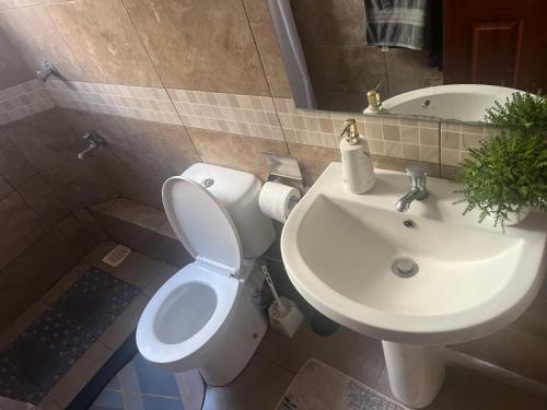 a bathroom with a white toilet and a sink at Kings and Queens Residence in Nairobi