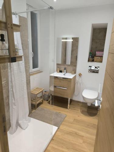 une salle de bain avec une douche, un lavabo et des toilettes dans l'établissement Sublime 3 p au centre-ville, à Saint-Martin-Vésubie