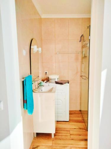 a bathroom with a sink and a shower at A Casa Valentina - Estudio vista panorâmica para o mar in Estreito da Calheta