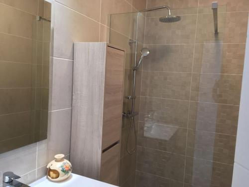 une douche avec une porte vitrée dans une salle de bain dans l'établissement Bassin Arcachon Appt recent4 couchages petit jardin, à La Teste-de-Buch