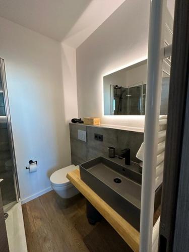 a bathroom with a sink and a toilet at Lieblingsquartier Sankt Andreasberg Studio 9 in Sankt Andreasberg