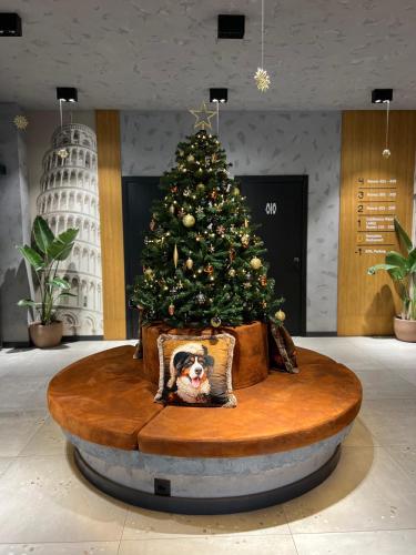 a christmas tree in a room with a dog under it at MM Boutique Hotel in Burgas City