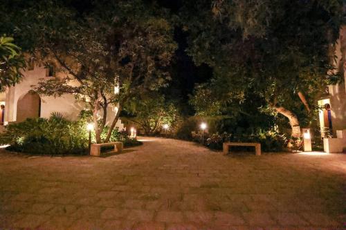 a park at night with trees and lights at Le Casa Lion Resort A Premium Resort In Sasan Gir in Sasan Gir