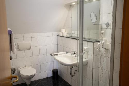 a bathroom with a sink and a toilet at Zum Dallmayr Hotel Garni in Berching