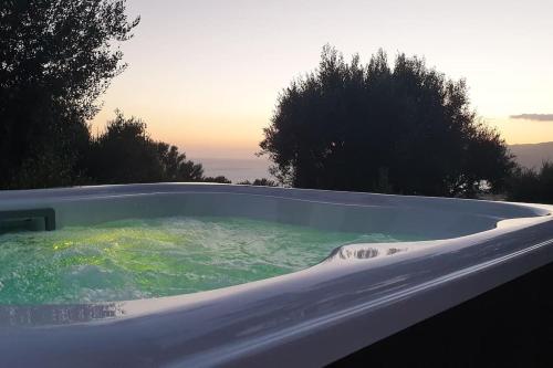 a bath tub filled with water next to trees at Casolare Cento Ulivi Luxury & Charme - Villa exclusive use in Ascea