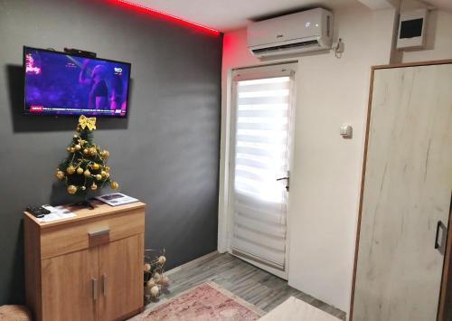 TV i/ili multimedijalni sistem u objektu Apartman Boba Vrnjačka Banja