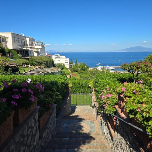 a stairway leading down to a garden with flowers at La Spiga in Capri