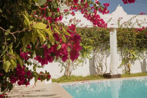 a bunch of pink flowers next to a swimming pool at Paje White House in Paje