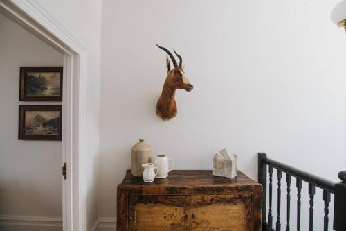 a head of a deer hanging on a wall at Merchant on Malop - Luxe City Escape in Geelong