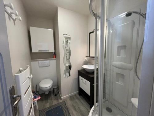 une salle de bain avec une douche, un lavabo et des toilettes dans l'établissement Confortable appart 2 chambres, terrasse, près télécabines à Cauterets - FR-1-812-106, à Cauterets