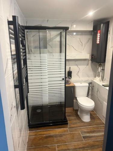 Ένα μπάνιο στο Appartement Agréable Robertsau