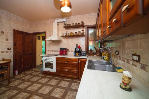 Η κουζίνα ή μικρή κουζίνα στο Casa Ardeleană