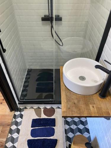 une salle de bain avec douche et lavabo dans l'établissement Charmant appartement entre la baie et l océan, à Saint-Pierre-Quiberon