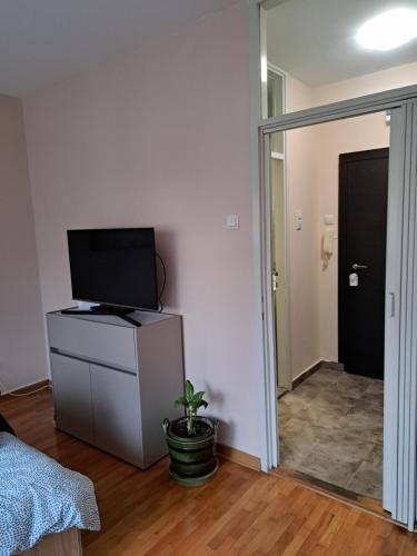 una habitación con TV en una cómoda y una puerta en Vist 3 apartment, en Belgrado