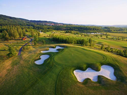an overhead view of a golf course with two ponds at MARSHALL Golf & Wellness Hotel in Sokolov