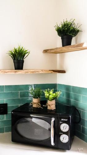 a microwave with potted plants on top of it at Escapada Rural en La Casa del Árbol in Tózar