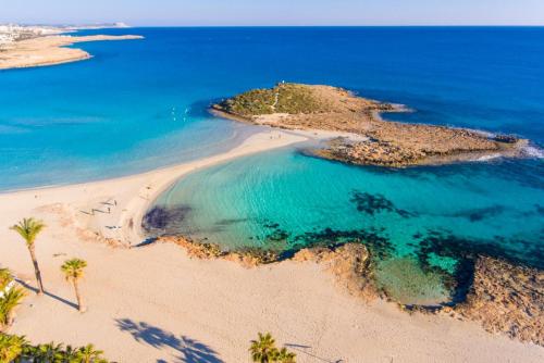 an aerial view of a beach with palm trees and the ocean at Villa Koula in Paralimni