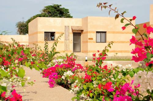 a garden of flowers in front of a building at King baobab lodge in Diakhanor