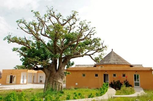 a tree in front of a building at King baobab lodge in Diakhanor