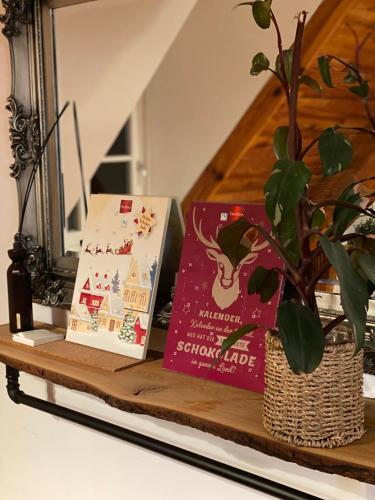 a shelf with two books and a plant on it at gemütliche rustikale Wohnung mit Kamin und optionalem Whirlpool in Bad Sobernheim